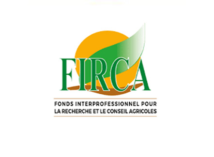 Firca