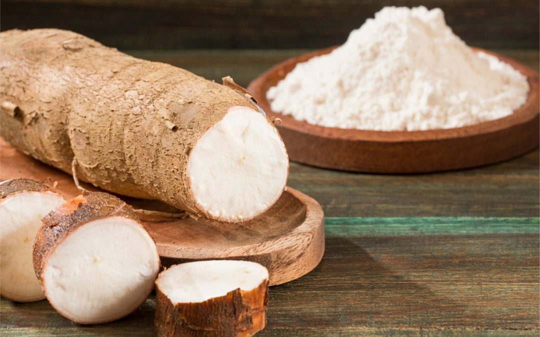 Transformation de Manioc